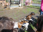 Výlet do ZOO Chleby a Labyrintária Loučeň